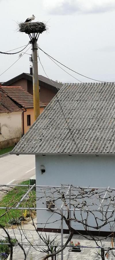 Bela Golobica Bogojina Villa Exterior photo