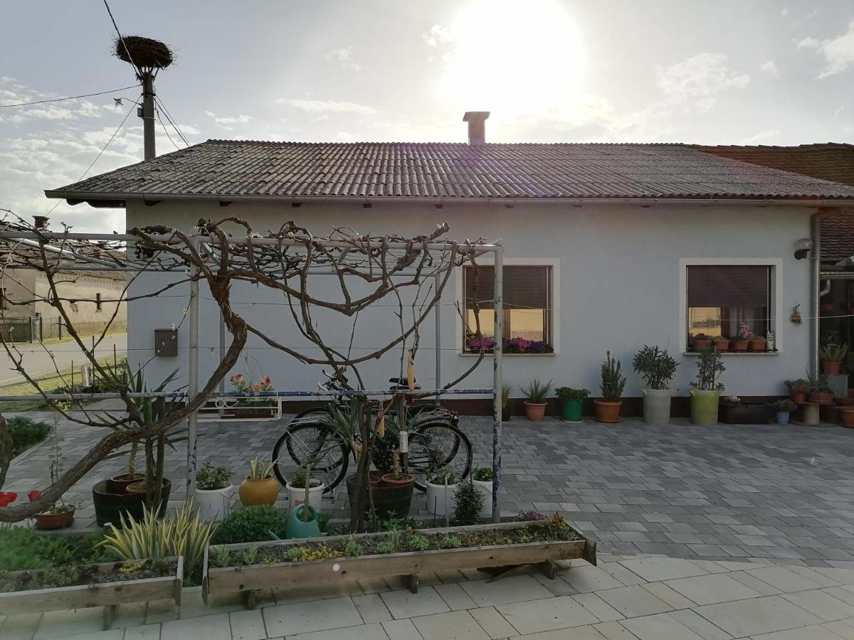 Bela Golobica Bogojina Villa Exterior photo
